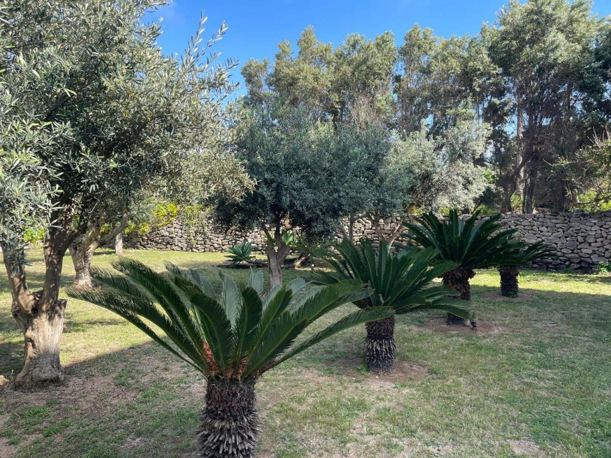 Calafato Guest House Favignana Exterior foto